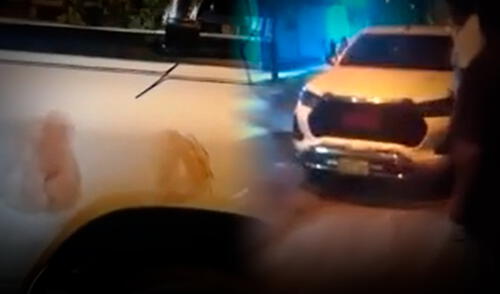 De acuerdo a testimonios de testigos, el propietario de la camioneta se habría defendido a balazos contra los asaltantes. Foto: Composición LR