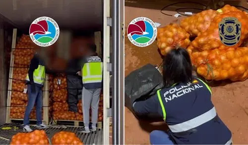 Desmantelan red de narcotráfico internacional en operativo conjunto entre España, Portugal y DEA. Foto: España Ocultas en sacos de cebolla: autoridades de España, Portugal y la DEA interceptan casi una tonelada de cocaína desde Perú
