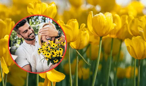 Celebra con estas flores, que simbolizan el cariño hacia la otra persona.