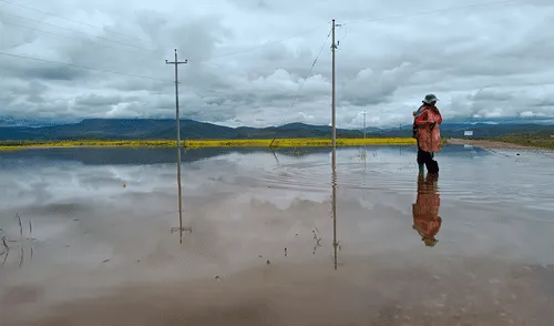 Coer Puno pide la intervención inmediata del gobierno. Créditos: Liubomir Fernández Coer Puno pide la intervención inmediata del gobierno. Créditos: Liubomir Fernández