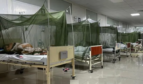 Las regiones de la selva y del norte están más expuestas al dengue. Las regiones de la selva y del norte están más expuestas al dengue.