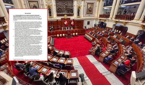 Exdirectores ejecutivos de la APCI criticaron la ley aprobada por el Congreso en contra de las ONG | Composición: LR. Exdirectores ejecutivos de la APCI criticaron la ley aprobada por el Congreso en contra de las ONG