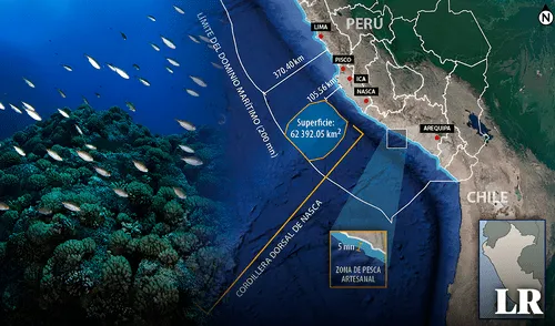 En la audiencia de la Corte, se presentarán los argumentos a favor y en contra del Decreto Supremo N°008-2021-MINAM. Foto: composición LR En la audiencia de la Corte, se presentarán los argumentos a favor y en contra del Decreto Supremo N°008-2021-MINAM. Foto: composición LR