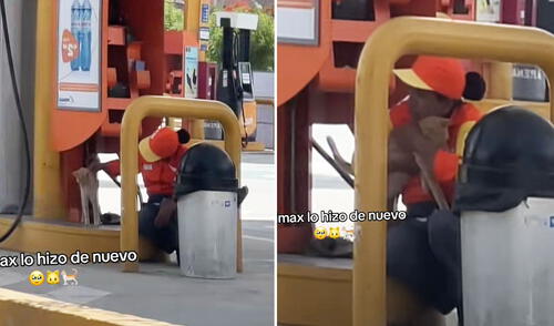 Trabajadora de grifo abraza a un gatito callejero y la escena es viral: "Todavía hay empatía"