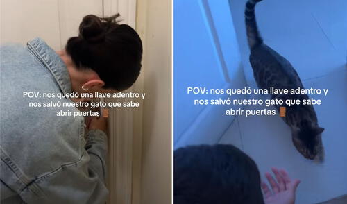 ¿Un gato que abre puertas? Minino sorprendió a sus dueños que olvidaron llave: "Es su contacto de emergencia"