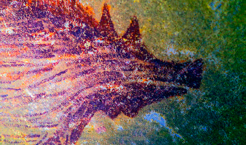 Arqueólogos descubren la pintura rupestre más antigua realizada por Homo sapiens