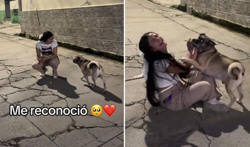 Joven se reencuentra con su perrito después de un año y emociona en redes: “Jamás olvidan”