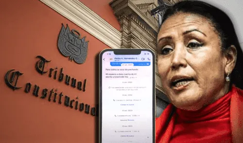 Elizabeth Medina, Congreso, Tribunal Constitucional