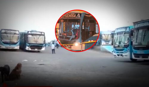 El conductor recibió dos impactos de bala tras el ataque de los delincuentes. Foto: Composición LR El conductor recibió dos impactos de bala tras el ataque de los delincuentes. Foto: Composición LR