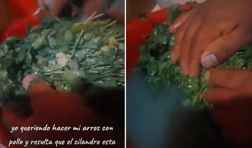 Peruana compra culantro en mercado y queda sorprendida al lavarlo: “Está pintado”