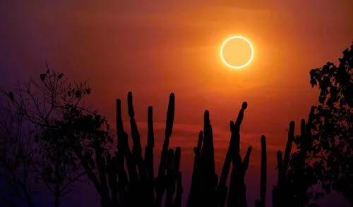 El eclipse parcial del Sol en México no podrá observarse el 29 de marzo de 2025, según la NASA. La trayectoria del fenómeno solo abarcará ciertas regiones del hemisferio norte. Foto: Shutterstock Esta es la razón por la que el eclipse parcial de Sol no se podrá ver en México el 29 de marzo, según la NASA