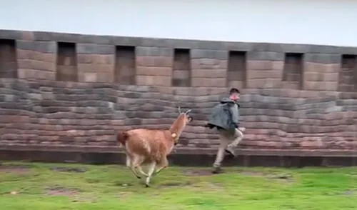 El muchacho al ver que iba a ser alcanzado por la llama, no dudó en meterse a una habitación cercana. Video es viral en TikTok. Foto: TikTok/ @nicklovesbugs El muchacho al ver que iba a ser alcanzado por la llama, no dudó en meterse a una habitación cercana.