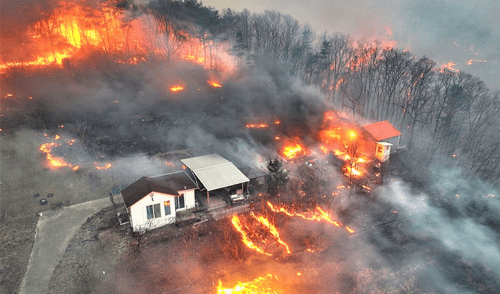 Con cerca de 15.000 hectáreas arrasadas hasta el martes, se trata del tercer incendio más grave registrado en Corea del Sur. Foto: CNN en Español.