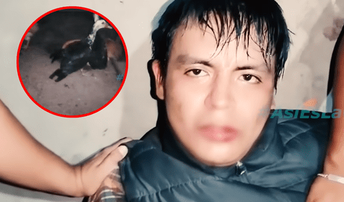 Cayó alias 'Mc Pato', sujeto que comercializaba droga en el balneario de Huanchaco. Foto: composición LR/Así es la Chicha Cayó alias 'Mc Pato', sujeto que comercializaba droga en el balneario de Huanchaco. Foto: composición LR/Así es la Chicha