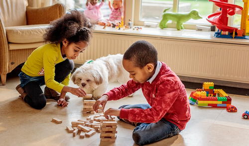 Especialistas indican que la atención veterinaria y la vacunación temprana son claves para su salud.