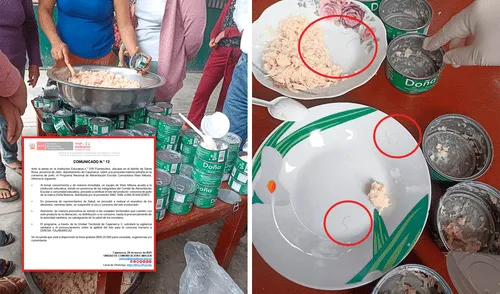 Wasi Mikuna hallan vellos en enlatados de pollo