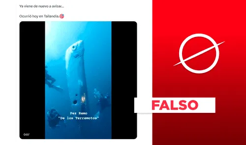 Este pez remo no fue avistado poco después del terremoto en Myanmar, Birmania