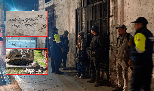 Intervenidos fueron trasladados a la comisaria de Santa Marta. Créditos: Municipalidad Provincial de Arequipa Intervenidos fueron trasladados a la comisaria de Santa Marta. Créditos: Municipalidad Provincial de Arequipa