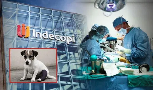 Indecopi | Daniel Vásquez | Libro de Reclamaciones Físico | Centro de especialidades veterinarias S.A.C. | veterinaria | multa