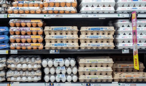 Las etiquetas de los huevos indican el trato a las gallinas y sus condiciones de vida, ayudando a elegir según tus valores.