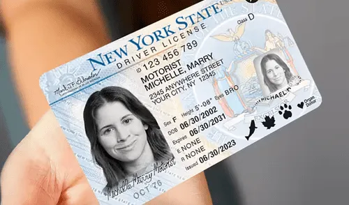 Conoce las 5 formas de verificar si el DMV suspendió tu licencia de conducir en Nueva York. Foto: Diario AS