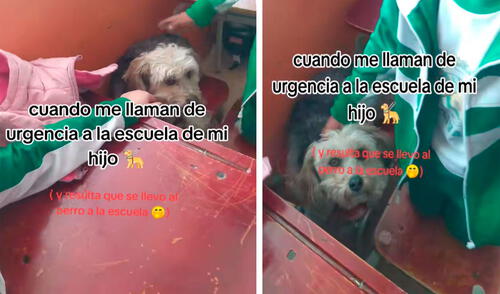 El video del curioso momento no tardó en volverse viral en TikTok. F