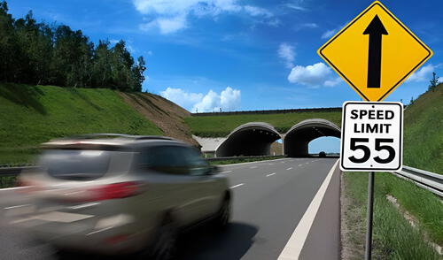 Un accidente de tránsito por superar el límite de velocidad ocasionó una propuesta legislativa en Nueva York. Foto: epermittest.com Un accidente de tránsito por superar el límite de velocidad ocasionó una propuesta legislativa en Nueva York. Foto: epermittest.com