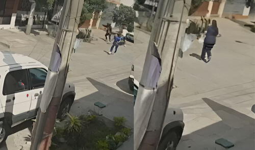 Mujer es asaltada y golpeada brutalmente en SMP. Foto: Composición LR/Captura de pantalla de cámaras de videos