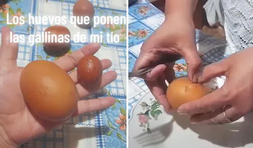 Gallina pone enorme huevo y mujer revela lo que contiene: "Cuando la receta te pide 1 yema y dos claras"