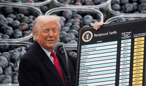 Donald Trump presentando los aranceles el Día de la Liberación y arándanos peruanos