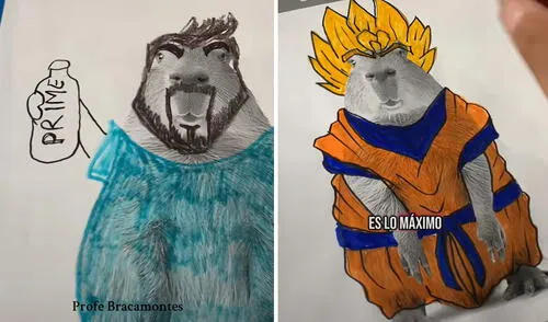 Profesor pidió a sus alumnos que creen outfit para capibara y el resultado es viral: “En efecto, es arte”