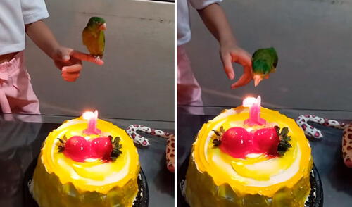 El video se ha vuelto tendencia en redes sociales. Foto: TikTok/@bella.ybellanita