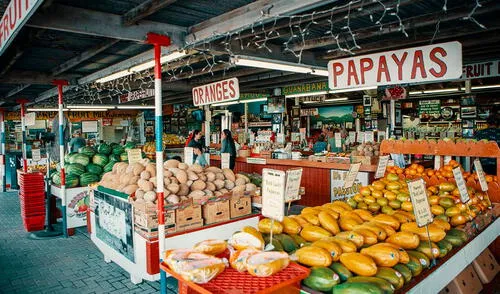 Investigadores de la Universidad de Florida estudian una fruta que podría salvar la economía del estado. Foto: Miami Beach