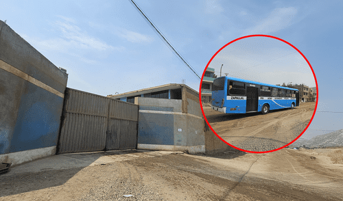 Ruta A, C y 'Cóndor' suspenden servicios tras asesinato de chofer en Los Olivos.