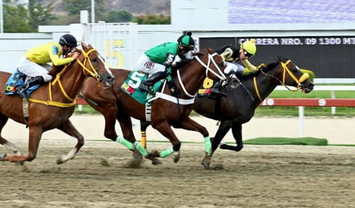 Resultados 5y6 La Rinconada EN VIVO