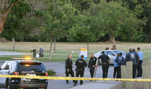 Las autoridades y la comunidad continúan buscando soluciones para enfrentar este problema que afecta a la ciudad y a sus habitantes. Foto: ElMundo