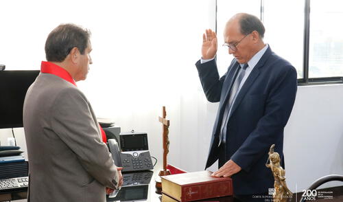 Su experiencia incluye roles como asistente judicial, secretario de sala y relator, además de haber sido juez supernumerario.