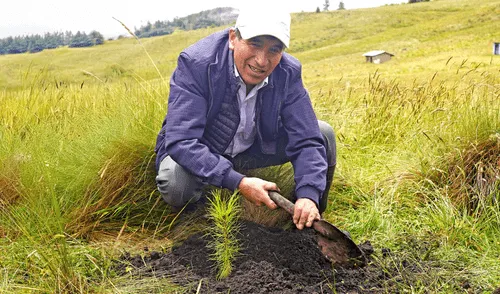Agricultores compartieron técnicas sobre silvicultura en el encuentro "Plantaciones que transforman vidas".