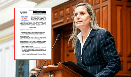 Maricarmen Alva proyecto de ley copia y pega
