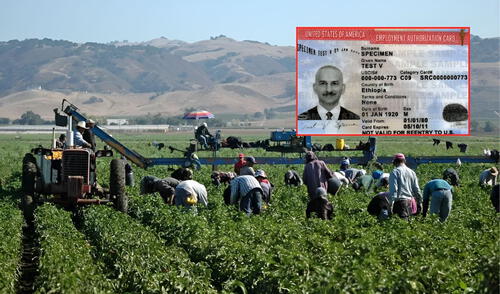 Con el inicio de la temporada agrícola en Estados Unidos, miles de inmigrantes podrán acceder a la visa H-2A para conseguir empleo. Foto: Composición LR/Enlace Latino/Visa Help