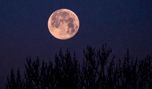 La luna rosa será la cuarta luna llena del año, fase que se produce cuando el satélite de la Tierra alcanza su plenitud e ilumina el cielo nocturno