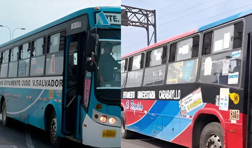 Diversas líneas de transportes han detenido sus operaciones por extorsiones en Lima. Foto: Composición LR/CDN/Captura de pantalla de El Rápido
