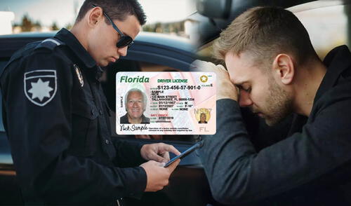 Florida implementa normativas estrictas sobre el uso del cinturón de seguridad para mejorar la seguridad vial.