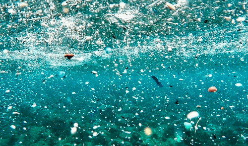 Geólogos marinos y científicos advierten que avalanchas submarinas transportan microplásticos en aguas profundas