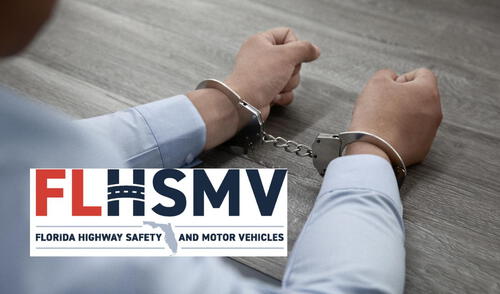 El FLHSMV ofrece la posibilidad de realizar trámites sin cita previa y busca garantizar un acceso equitativo a sus servicios. Foto: composición LR/Freepik/FLHSMV