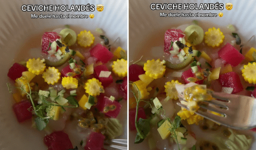 Peruana queda sorprendida por la preparación de ceviche en Holanda. Foto: composición LR/TikTok/@stefenholanda ceviche, ceviche peruano, TikTok, ceviche de Perú, ceviche holandés