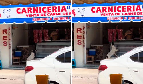 El video se volvió tendencia en varios países. Foto: captura de TikTok/@cristian.oax