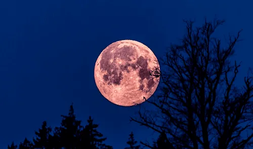 Descubre los países que podrán ver la Luna Rosa en abril 2025. Foto: Tiempo.com Descubre los países que podrán ver la Luna Rosa en abril 2025. Foto: Tiempo.com