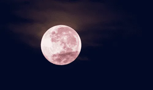 La Luna Rosa de 2025 será podrá ver en su punto máximo el 13 de abril.