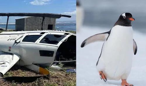 Luego de investigar lo ocurrido, las autoridades determinaron que el accidente fue provocado por la “falta de una contención para el pingüino". Foto: composición LR/X Las autoridades determinaron que el accidente fue provocado por la “falta de una contención para el pingüino".